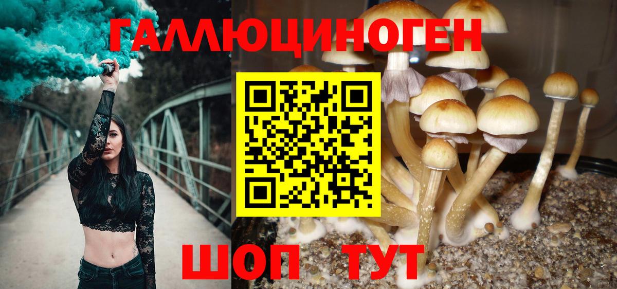 Орёл  Псилоцибиновые грибы прущие грибы  Вход с VPN 